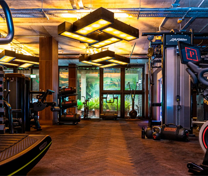 Power gym at the Mayson